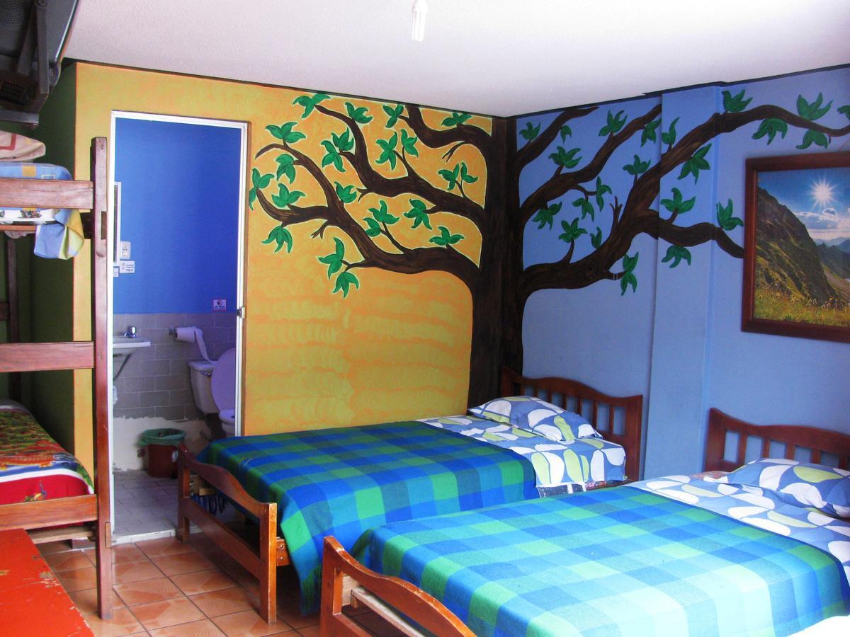 Transilvania Banos  Ngoại thất bức ảnh
